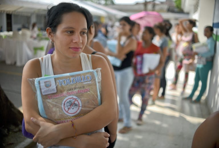 A pregnant woman holds a mosquito net in Cali on February 10, 2016