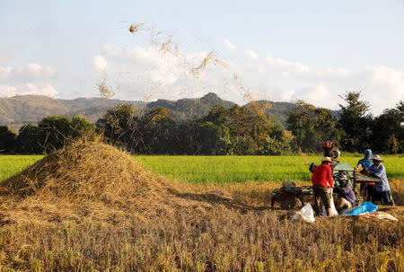 Farmers work in a ricefield overlooking nickel-ore mines ordered closed by Environment secretary Regina Lopez in the mining town of Sta Cruz, Zambales in northern Philippines February 8, 2017. REUTERS/Erik De Castro