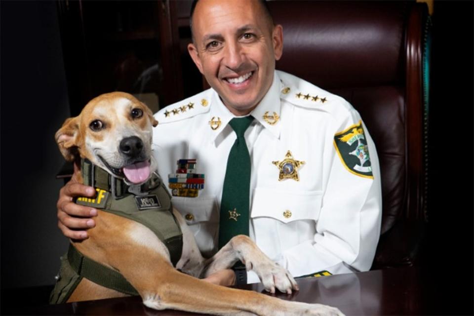 Deputy Chance, shelter dog of the year posing with Sheriff