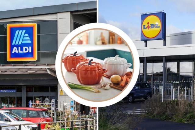 Aldi is selling heatable car seat covers for a bargain price