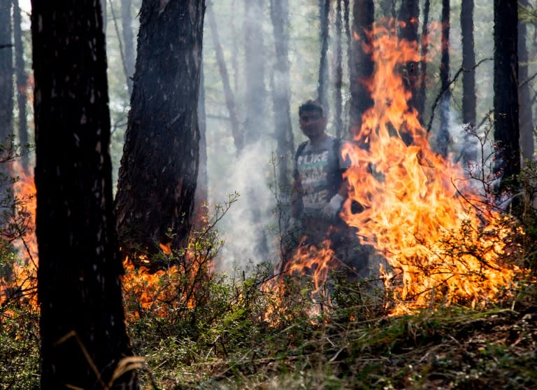 Critics have blamed authorities' slow response for allowing the blazes to get out of hand, quadrupling in size on the eastern shore of Lake Baikal in the last month