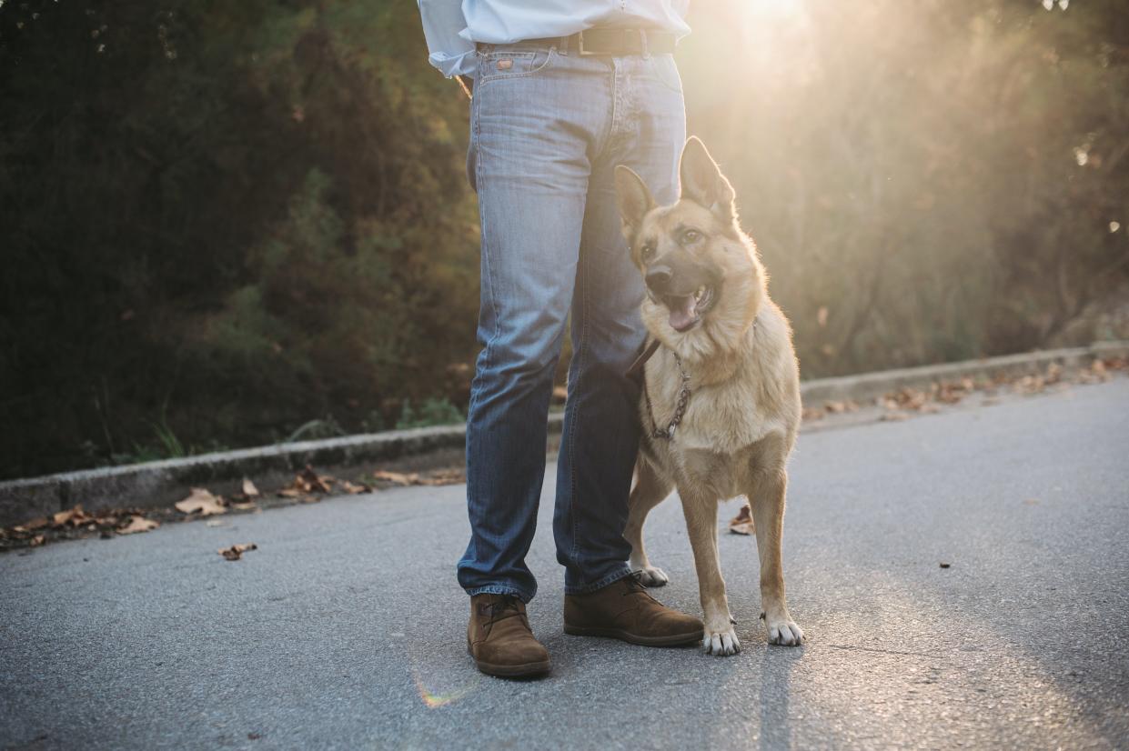 A new movie called The Year of the Dog will be showing in Grand Haven starting Feb. 25. The movie features a real-life rescue dog and five percent of proceeds will go toward Harbor Humane.