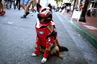 <p>Cosplayer dog dressed as Iron Man at Comic-Con International on July 19, 2018, in San Diego. (Photo: Tommaso Boddi/Getty Images) </p>