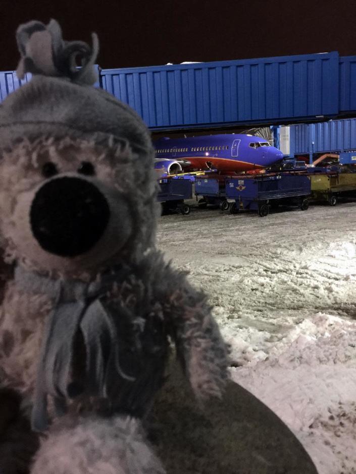 This December 2016 photo provided by Steven J. Laudeman shows stuffed bear named Teddy that Eleanor Dewald, 8, lost lost flying from Dallas to Detroit Metropolitan Airport. Steven Laudeman, a Southwest Airlines ramp agent, learned through social of the lost bear, retraced Eleanor's steps before his shift began Thursday, Dec. 22, and found the bear. He then took Teddy on an adventure — photographed for posterity — into a plane's cockpit and service vehicle. (Steven J. Laudeman via AP)