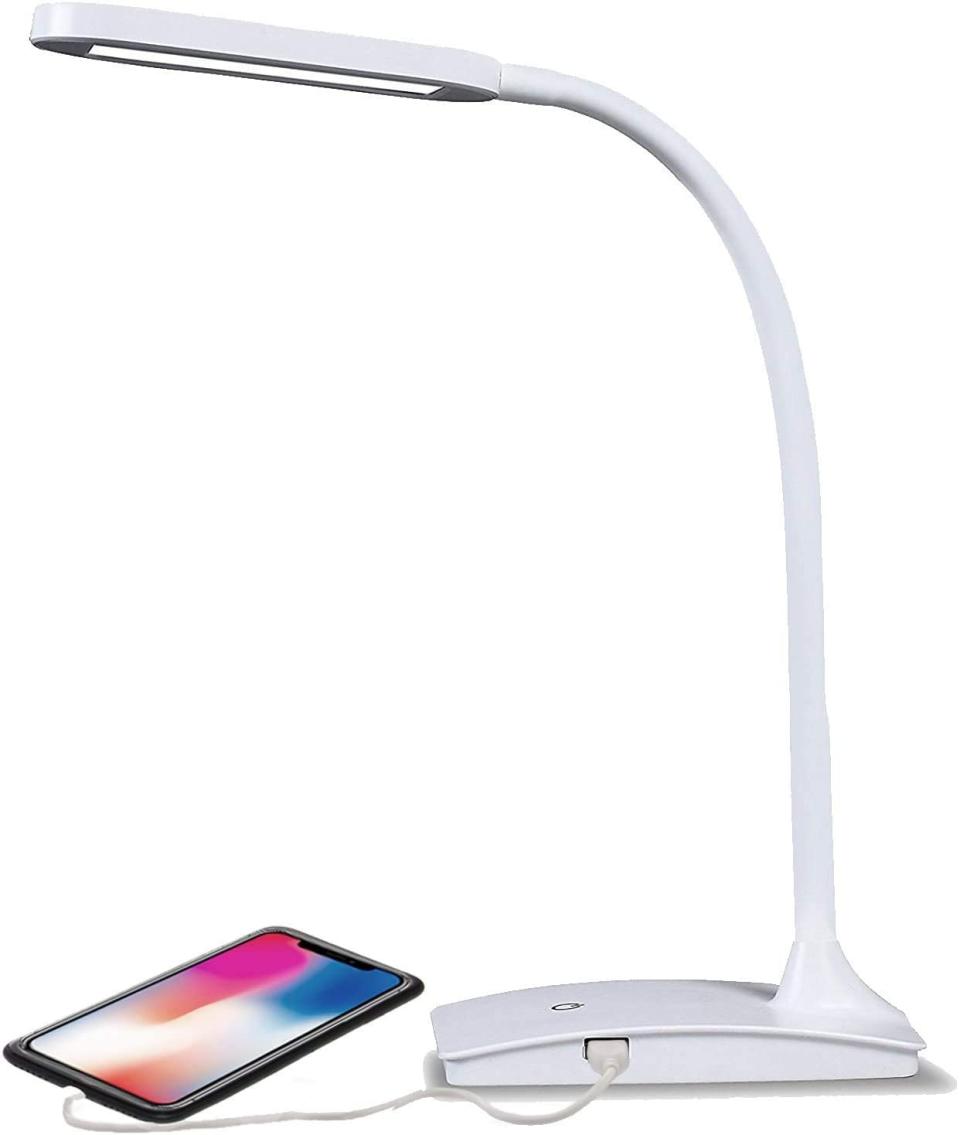 TW Lighting LED Desk Lamp