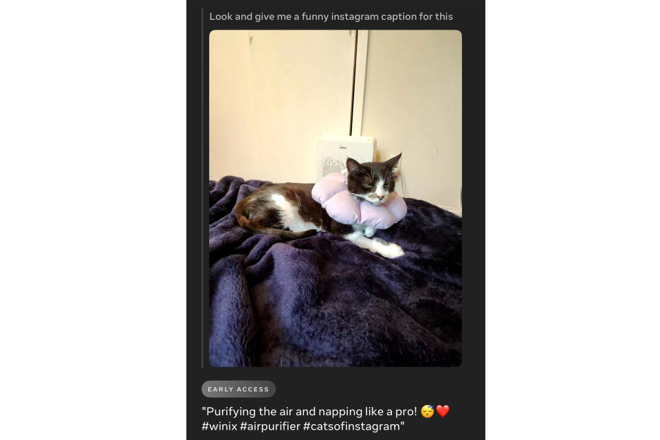 Sugerencia de Meta AI para un título divertido de Instagram para una foto de mi gato.