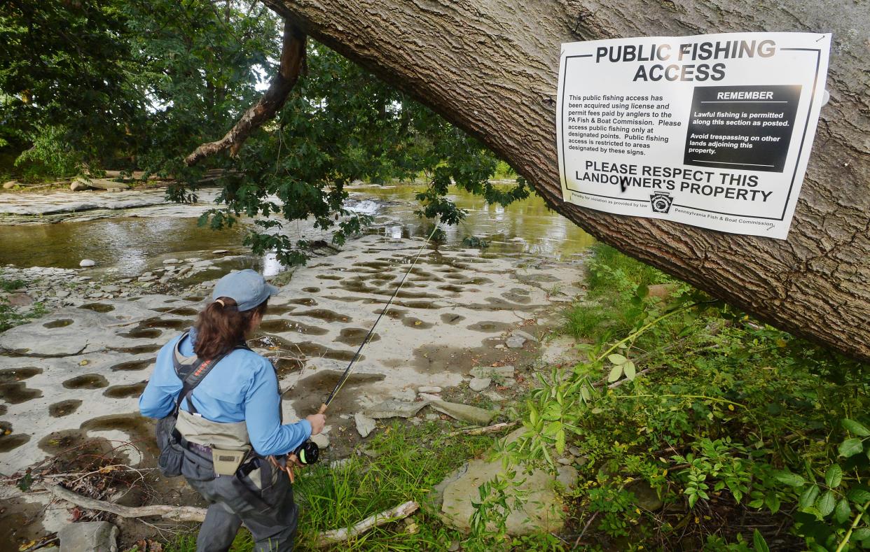 As part of the Chapter 11 case, the Dohler bankruptcy estate sold an easement to the state Fish and Boat Commission to secure public fishing access to Twentymile Creek, sections of which run through the Dohler property in North East Township.