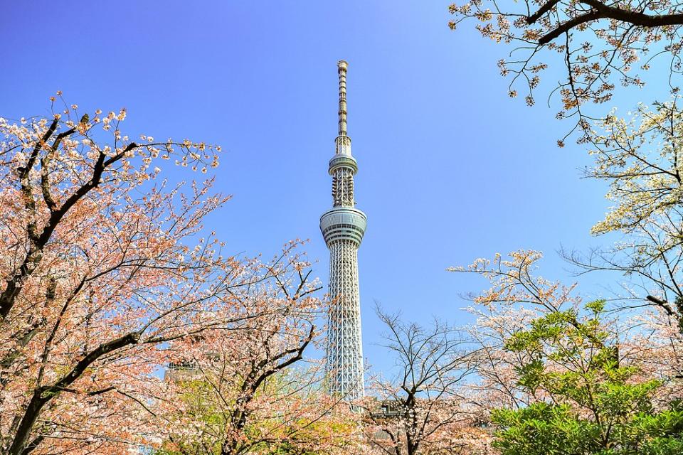 隅田公園 (Photo byくろふね, License: CC BY-SA 4.0, Wikimedia Commons提供)