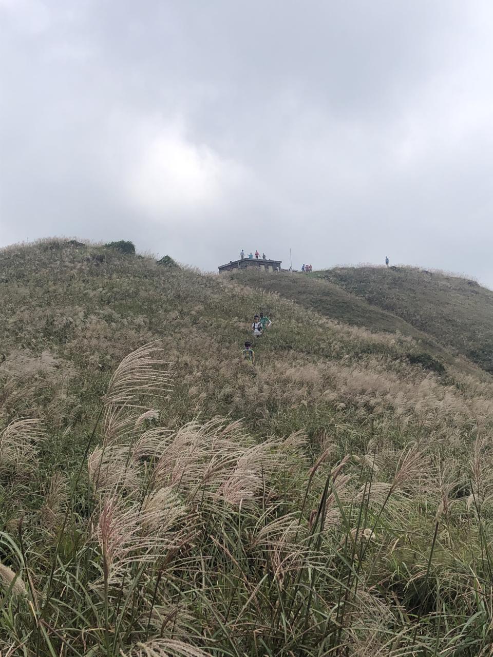 二東上山沿路