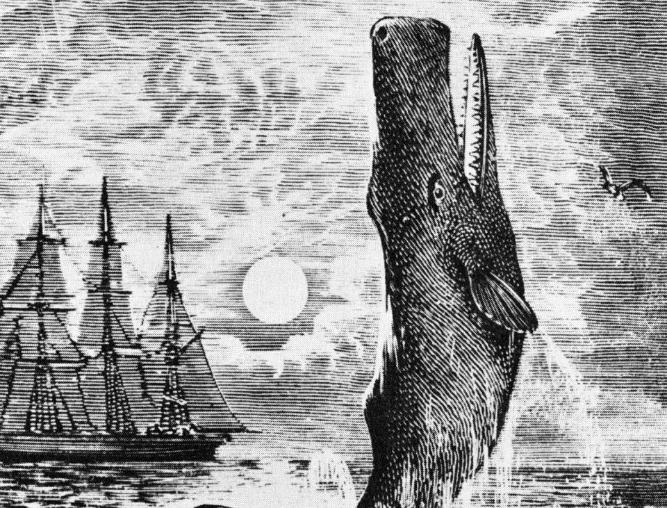 Illustration of Moby Dick jumping out of the water