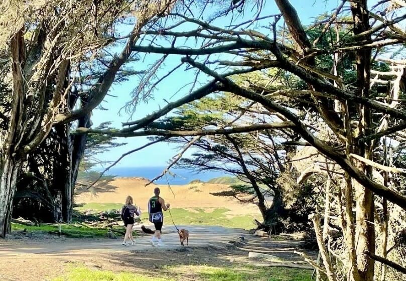 A couple walk their dog at Fort Funston in San Francisco.