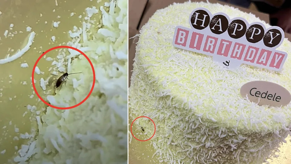 Screen grab of live cockroach found on Ondeh Ondeh cake bought from Cedele Waterway Point (Photos: Facebook/Joey Tan) 