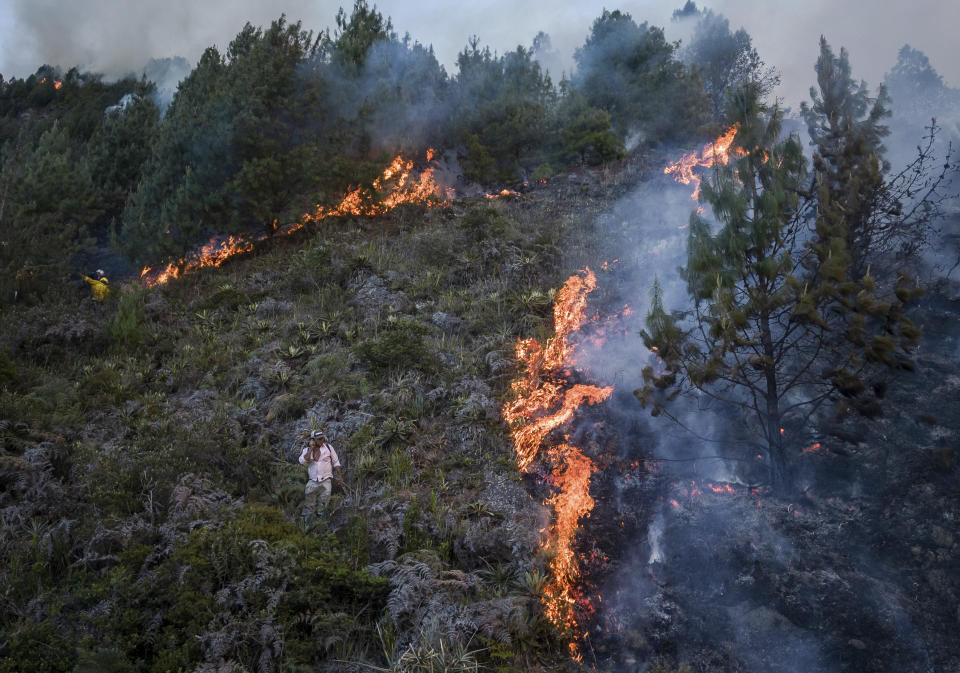 FILE - A wildfire burns on the slopes of the mountains surrounding Nemocon, north of Bogota, Colombia, Jan. 23, 2024. Scientists say climate change creates conditions that make the drought and wildfires now hitting South America more likely. (AP Photo/Ivan Valencia, File)