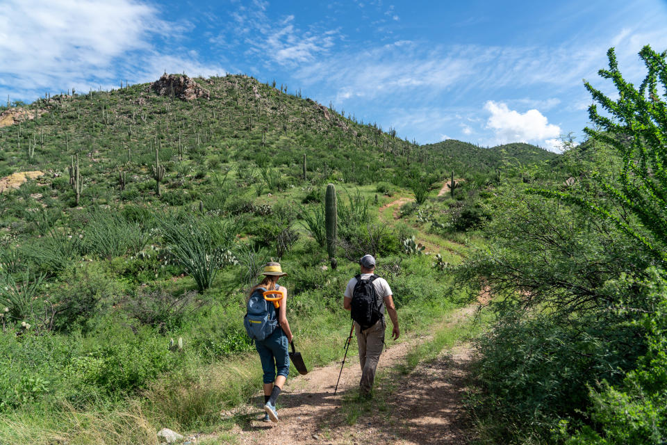 Izzy Viney (left) a graduate student at the Carini Lab, and Paul Carini (right) an assistant professor at the University of Arizona's Department of Environmental Science, hike to collect soil samples in an area northeast of Saddlebrooke, Arizona, on Aug. 18, 2022.