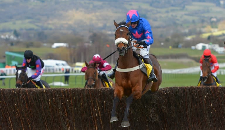 Cue Card, ridden by Joe Tizzard, jumps the last fence to win the Ryanair Steeple Chase on the third day of the Cheltenham Festival in Gloucestershire, western England on March 14, 2013
