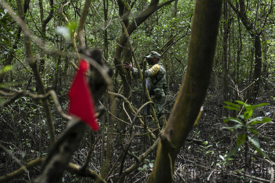 A soldier of the Mexican Army stands next to a flag marking the site of a possible clandestine grave in Puquita, a tropical mangrove island near Alvarado in the Gulf coast state of Veracruz, Mexico, Thursday, Feb. 18, 2021. Investigators from the National Search Commission found three pits with human remains and plastic bags inside. The number of bodies there has not yet been determined. (AP Photo/Felix Marquez)