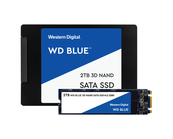 Two Western Digital solid-state drives.