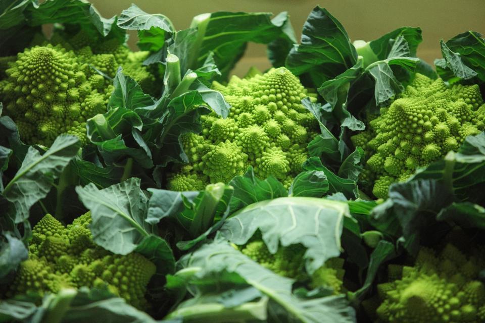 Wholesalers are warning the price of other vegetables, such as broccoli, is also on the up (ack Taylor/Getty Images)