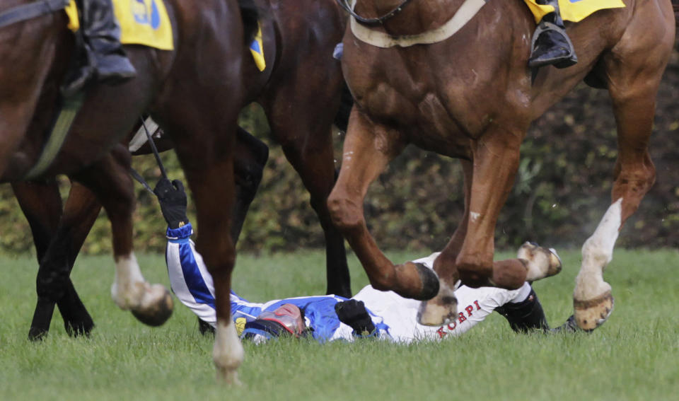 Czech rider Sovka lays on ground after Big Taxis obstacle during 122nd Velka Pardubicka Steeplechase horse race in Pardubice