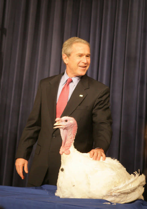 President George W. Bush Sends Birds to Disneyland