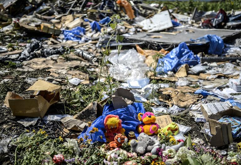 Toys are pictured among the wreckage at the crash site of Malaysia's flight MH17 in east Ukraine on July 20, 2014