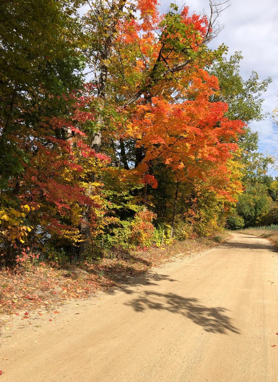 Fall colors emerge on Lake Chapin Road near Berrien Springs on the Love Biketober Fest route on Oct. 9, 2022.