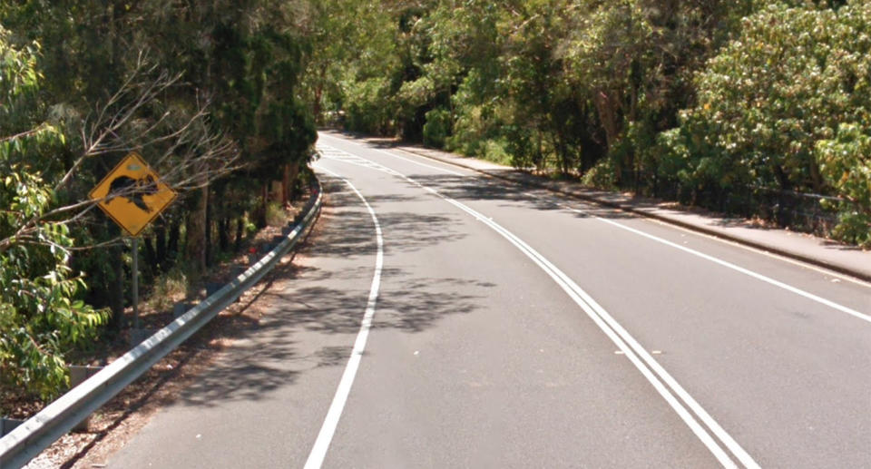 The koalas were hit along Noosa Drive, Noosa Heads, near where there is a sign warning of koalas crossing in the area. Source: Google Maps