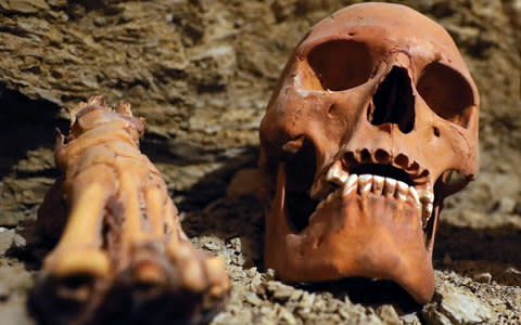 A skull and a foot are seen in the recently discovered tomb of Amenemhat - Credit: Mohamed Abd El Ghany/Reuters