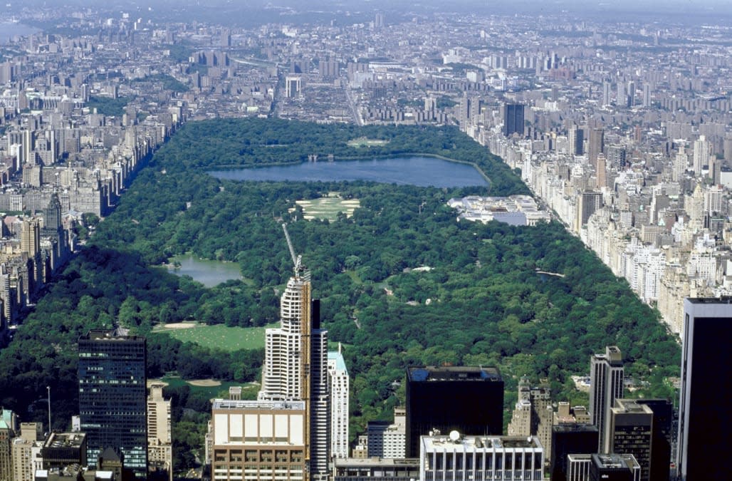 Central Park , New York City