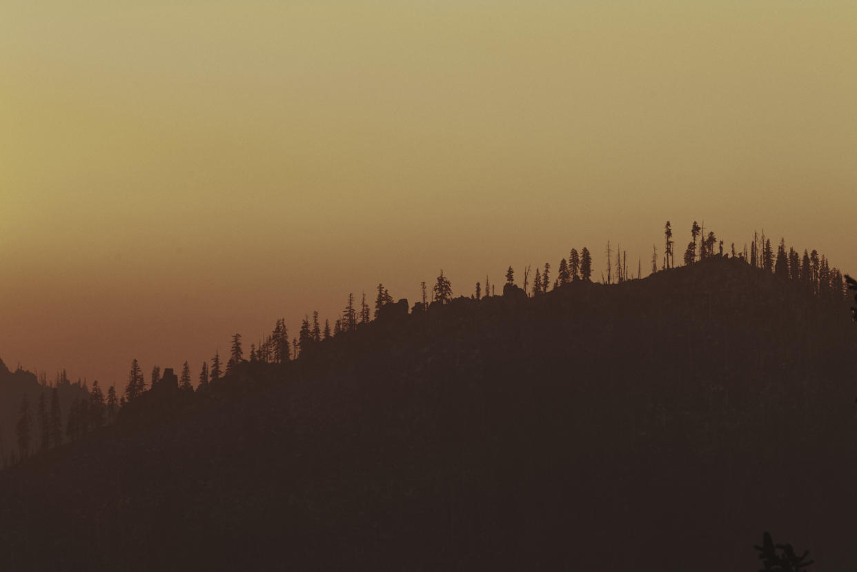 El humo se asoma en un segmento del sendero de la Cresta del Pacífico en el Bosque Nacional Klamath y el Bosque Nacional Shasta Trinity en el norte de California, el 16 de agosto de 2022. (Mason Trinca/The New York Times).