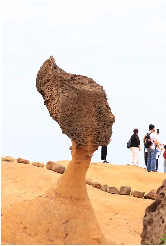 北海岸一日遊