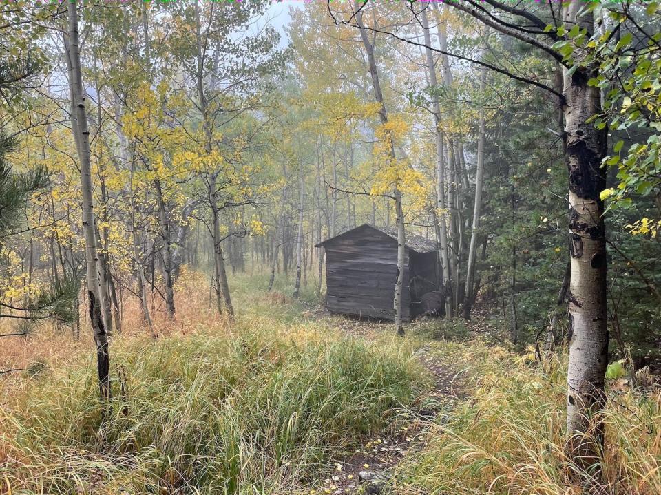 An abandoned house on the Homestead Meadows trail outside of Estes Park, Colorado.