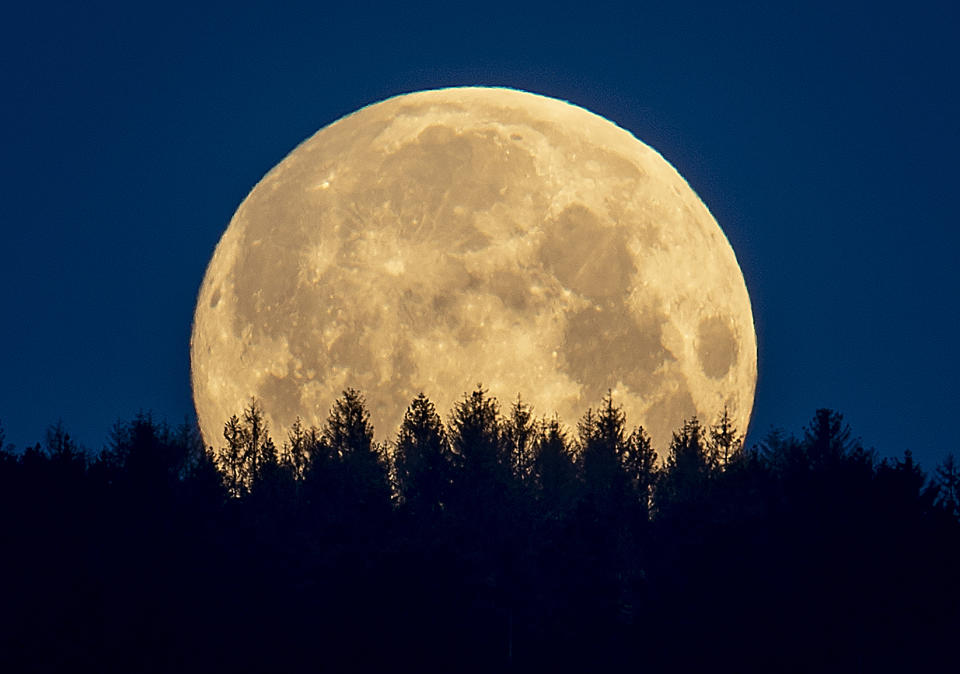 FILE - In this Thursday, May 7, 2020 file photo, the full moon sets behind trees in the Taunus region near Frankfurt, Germany. The European Space Agency, ESA, national counterparts and private companies are presenting their vision Thursday to put satellites in orbit around the moon, to make future missions to Earth's closest neighbor easier. (AP Photo/Michael Probst, file)