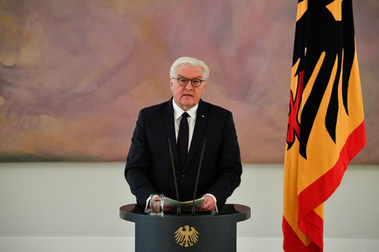 German President Frank-Walter Steinmeier has the constitutional power to call snap polls but has warned party leaders of the seriousness of "an unprecedented situation in the history of the Federal Republic of Germany"