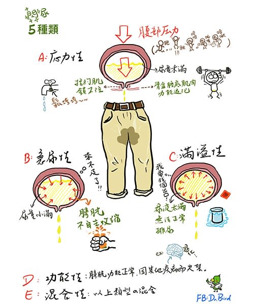 （圖片提供／凱信企管）