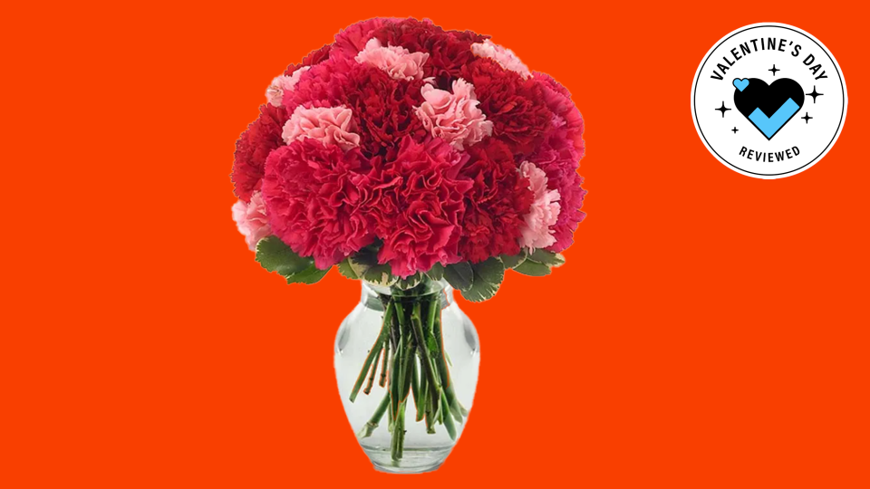 Carnations have plush petals that you'll love gazing at.