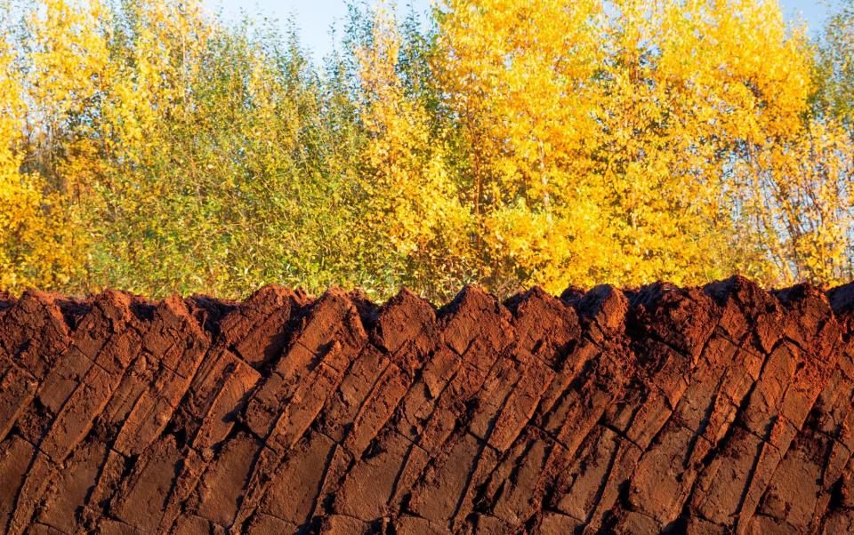 Carbon-rich: slabs of peat piled up after being cut from a bog in northern Germany