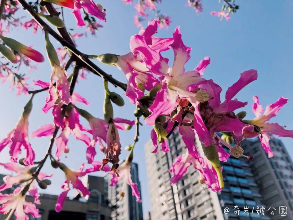 北投奇岩1號公園（圖片來源：臺北市政府工務局公園路燈工程管理處）