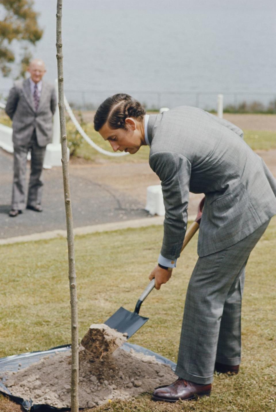 <p>For over 40 years, the King has been a leader in identifying charitable needs. As Prince of Wales, he founded nearly 20 charities and was patron of more than 400. He will be less involved in charitable activities as he takes up his duties as head of state.</p><p>Pictured: A young Prince Charles plants a tree during a tour of Australia, October 1974</p>