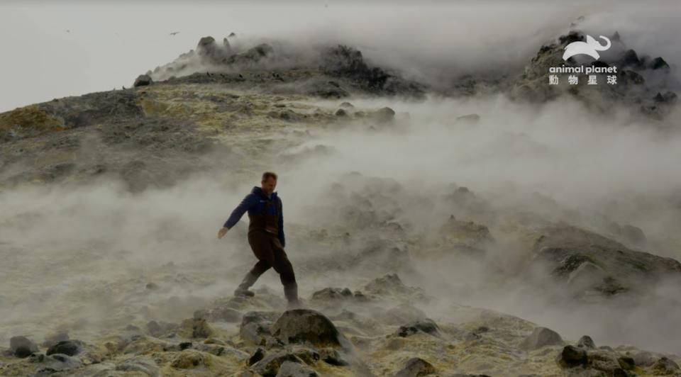 博戈斯洛夫島上的火山熱氣直接竄出地面，鮮少人擁有如此罕見的體驗（圖／動物星球頻道提供）