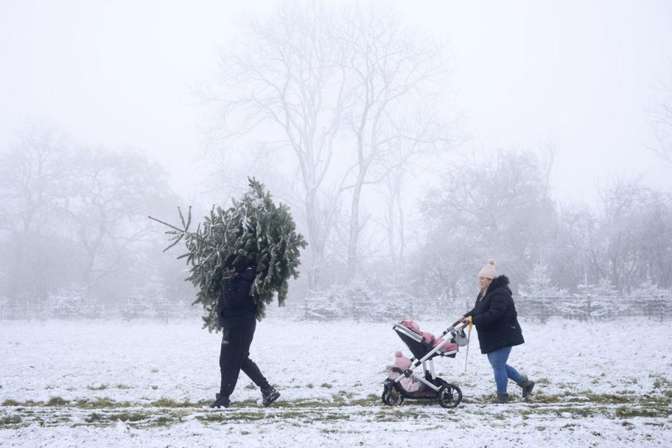 James O'Brien carries a Christmas tree with his partner Jessica and their two children in Bodsham (Getty Images)