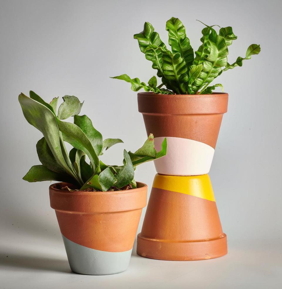 <p>Horti is a monthly plant subscription service that caters to individual needs, like those of first-time plant owners and people in search of pet-friendly species. Horti includes stylish planters and options for "hard to kill" or "low light" plants, starting around $18 per month. If you find yourself indecisive about which plant to choose, or just want a small something to look forward to each month, you might enjoy a subscription.</p><p><a class="link " href="https://heyhorti.com/" rel="nofollow noopener" target="_blank" data-ylk="slk:Shop Now;elm:context_link;itc:0;sec:content-canvas">Shop Now</a></p>