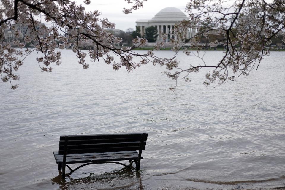 As the Thomas Jefferson Memorial is seen in the background, a park bench sits in water during high tide at the Tidal Basin on March 28, 2024 in Washington, D.C.