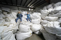 Gail Hepworth, right, and Amy Hepworth, sisters and co-owners of Hepworth Farms, pose for a picture on bags full of hemp plants at Hepworth Farms in Milton, N.Y., Monday, April 12, 2021. Farmers dealing with depressed prices for plants that produce CBD extract are eager to take part in a statewide marijuana market expected to generate billions of dollars a year once retail sales start. They already know how to grow and process cannabis plants, since hemp is essentially the same plant with lower levels of THC, marijuana's active ingredient. Now they're waiting on rules that will allow them to switch seeds. (AP Photo/Seth Wenig)