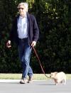 <p>Harrison Ford leads his pup through Los Angeles on Wednesday.</p>