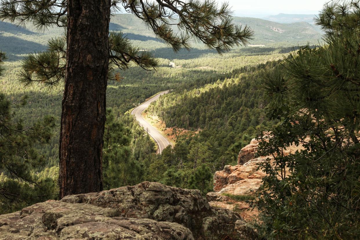 Forest Road 300, Arizona