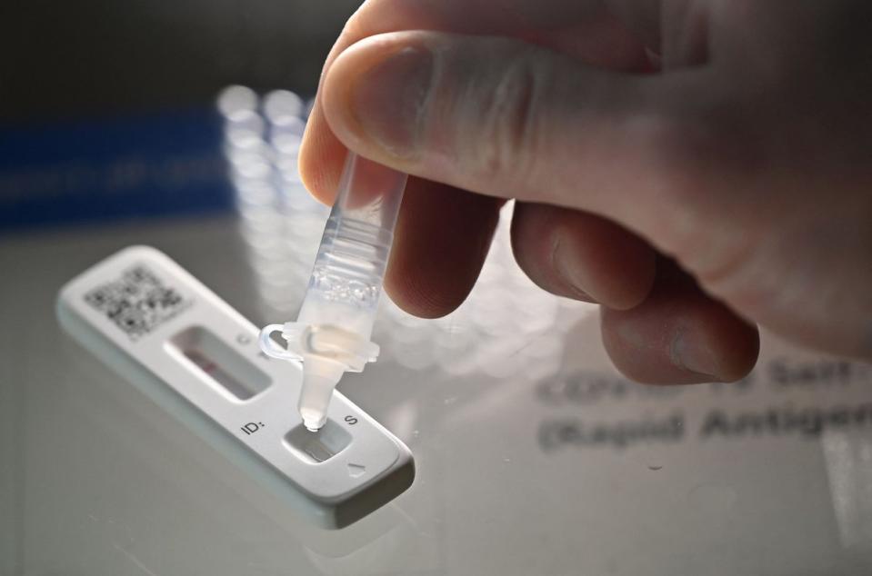 Lateral flow tests  (AFP via Getty Images)