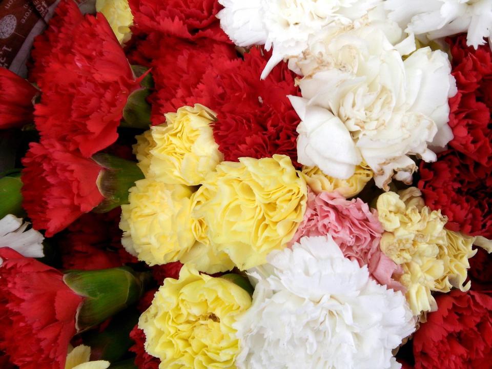 13) Carnations have a special meaning on Mother's Day.