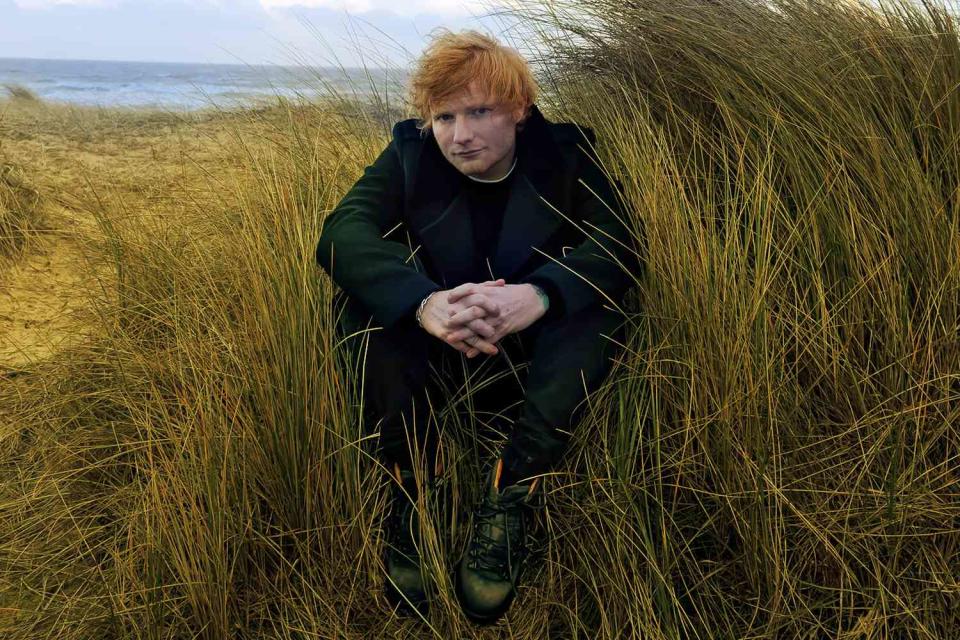 <p>Annie Leibovitz</p> Ed Sheeran