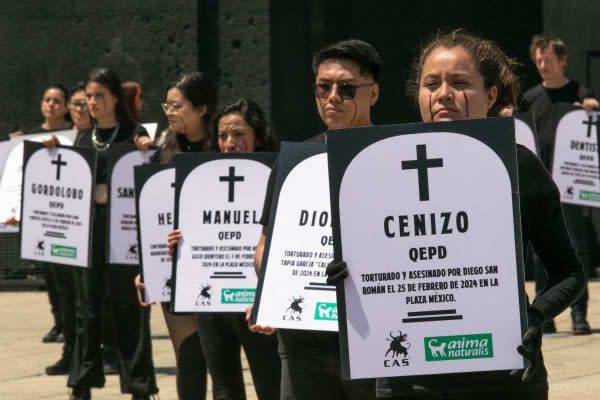 Juzgado suspende de forma temporal corridas de toros en la Ciudad de México